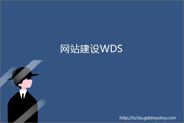 网站建设WDS